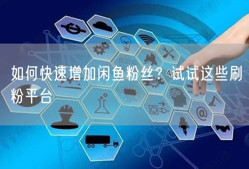 如何快速增加闲鱼粉丝？试试这些刷粉平台