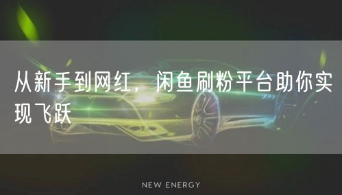 从新手到网红，闲鱼刷粉平台助你实现飞跃