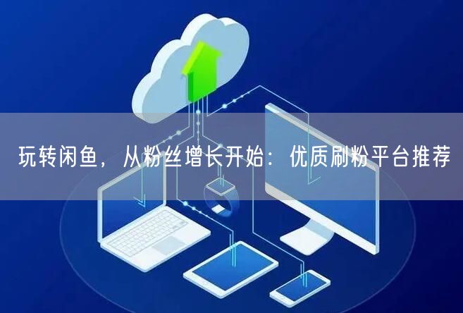 玩转闲鱼，从粉丝增长开始：优质刷粉平台推荐