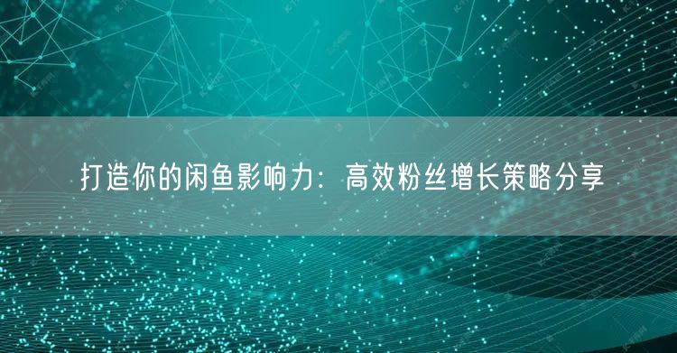 打造你的闲鱼影响力：高效粉丝增长策略分享
