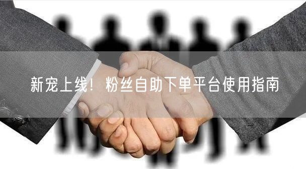 新宠上线！粉丝自助下单平台使用指南