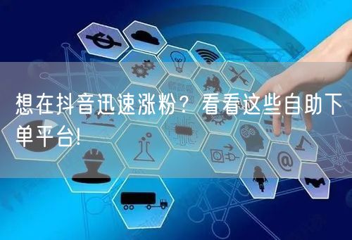 想在抖音迅速涨粉？看看这些自助下单平台!