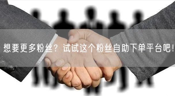 想要更多粉丝？试试这个粉丝自助下单平台吧！