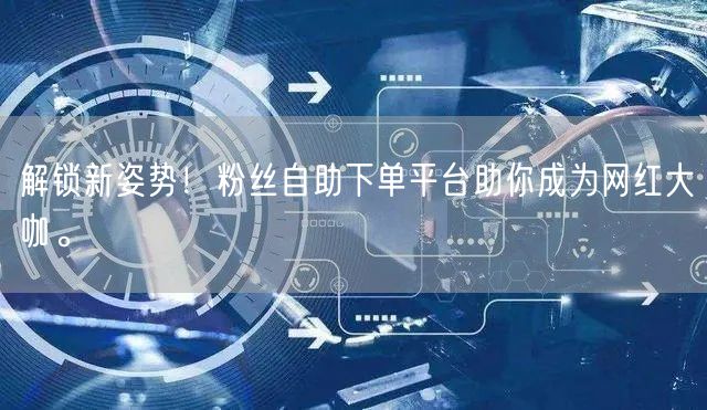 解锁新姿势！粉丝自助下单平台助你成为网红