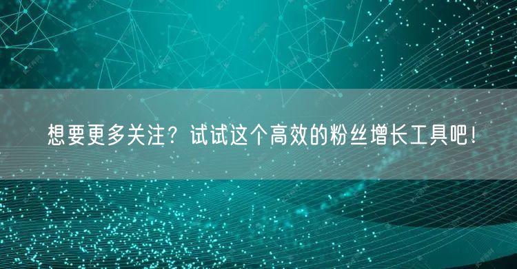 想要更多关注？试试这个高效的粉丝增长工具吧！