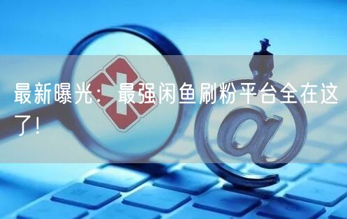 最新曝光：最强闲鱼刷粉平台全在这了！