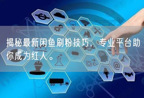 揭秘最新闲鱼刷粉技巧，专业平台助你成为红