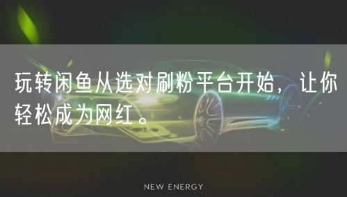 玩转闲鱼从选对刷粉平台开始，让你轻松成为