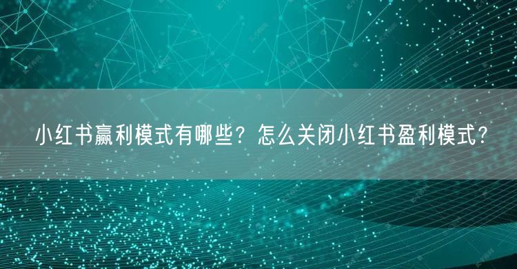 小红书赢利模式有哪些？怎么关闭小红书盈利模式？