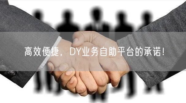 高效便捷，DY业务自助平台的承诺！