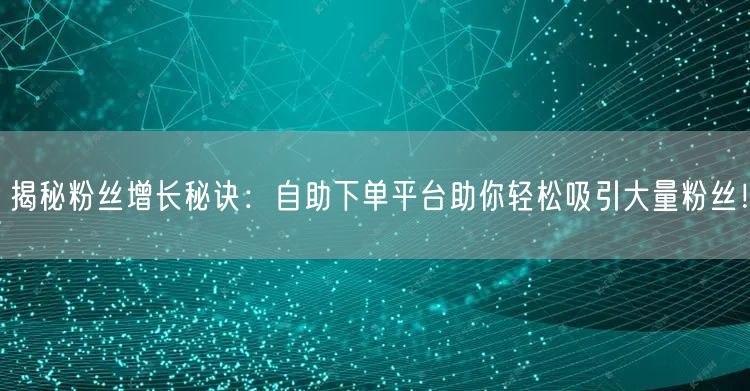 揭秘粉丝增长秘诀：自助下单平台助你轻松吸引大量粉丝！