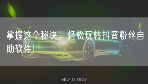 掌握这个秘诀，轻松玩转抖音粉丝自助软件！