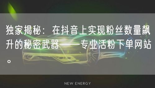 独家揭秘：在抖音上实现粉丝数量飙升的秘密武器——专业活粉下单