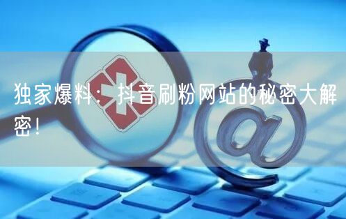 独家爆料：抖音刷粉网站的秘密大解密！