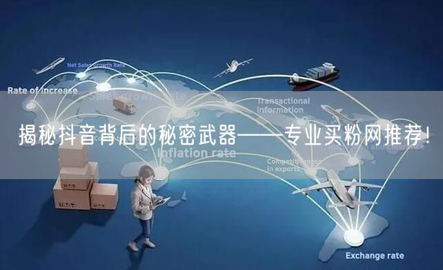 揭秘抖音背后的秘密武器——专业买粉网推荐！