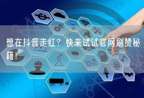 想在抖音走红？快来试试官网刷赞秘籍！