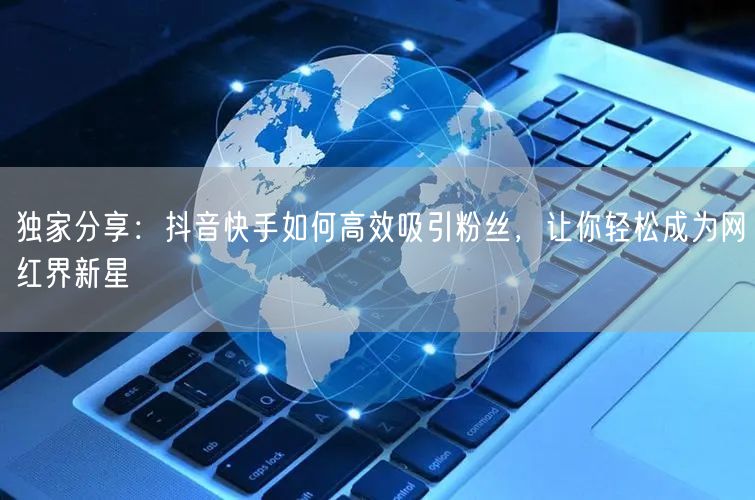 独家分享：抖音快手如何高效吸引粉丝，让你轻松成为网红界新星