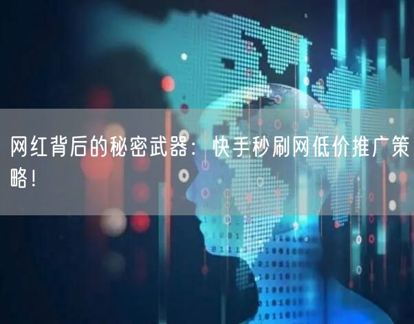 网红背后的秘密武器：快手秒刷网低价推广策略！
