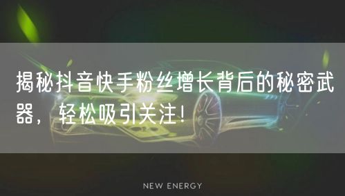 揭秘抖音快手粉丝增长背后的秘密武器，轻松吸引关注！