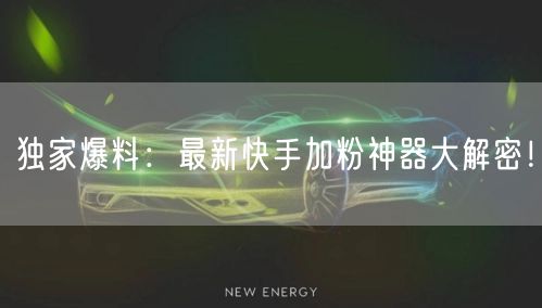 独家爆料：最新快手加粉神器大解密！