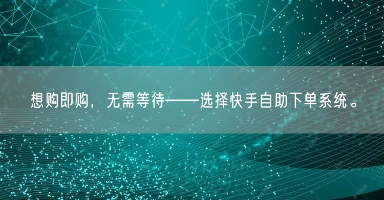 想购即购，无需等待——选择快手自助下单系统。