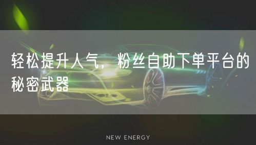 轻松提升人气，粉丝自助下单平台的秘密武器