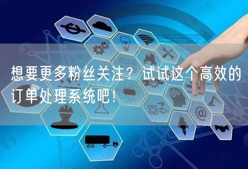 想要更多粉丝关注？试试这个高效的订单处理系统吧！