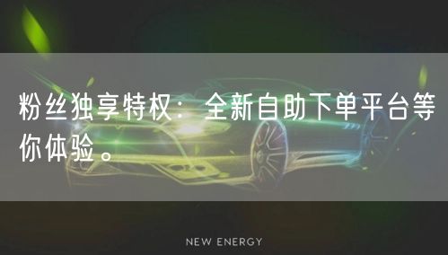 粉丝独享特权：全新自助下单平台等你体验。