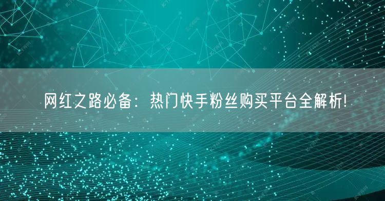 网红之路必备：热门快手粉丝购买平台全解析!