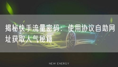 揭秘快手流量密码：使用协议自助网址获取人气秘籍