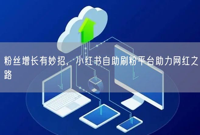 粉丝增长有妙招，小红书自助刷粉平台助力网红之路