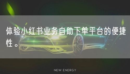 体验小红书业务自助下单平台的便捷性。