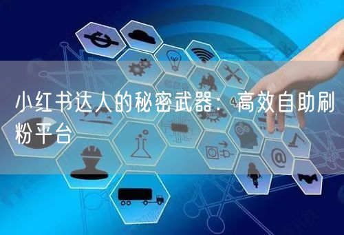 小红书达人的秘密武器：高效自助刷粉平台
