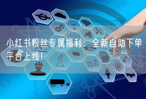 小红书粉丝专属福利：全新自助下单平台上线！