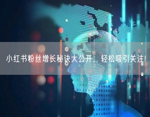 小红书粉丝增长秘诀大公开，轻松吸引关注!