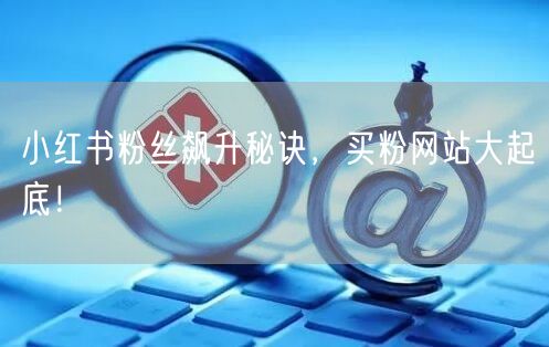 小红书粉丝飙升秘诀，买粉网站大起底！