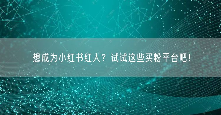 想成为小红书红人？试试这些买粉平台吧！