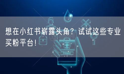 想在小红书崭露头角？试试这些专业买粉平台