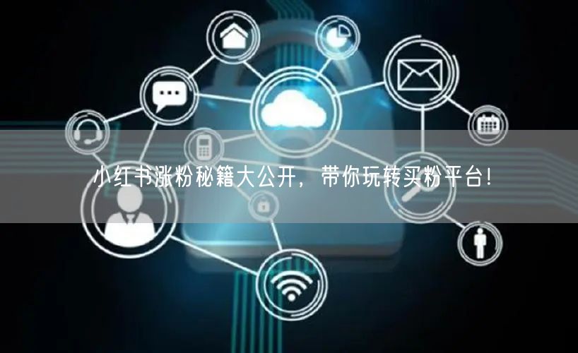 小红书涨粉秘籍大公开，带你玩转买粉平台！