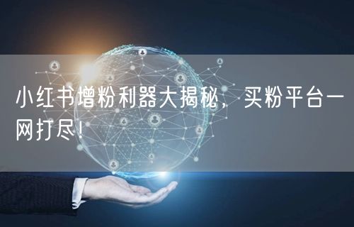 小红书增粉利器大揭秘，买粉平台一网打尽！