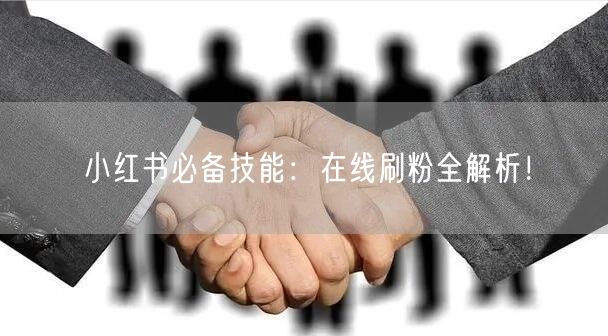 小红书必备技能：在线刷粉全解析！