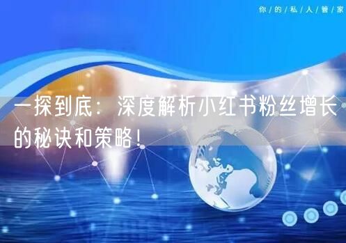 一探到底：深度解析小红书粉丝增长的秘诀和策略！