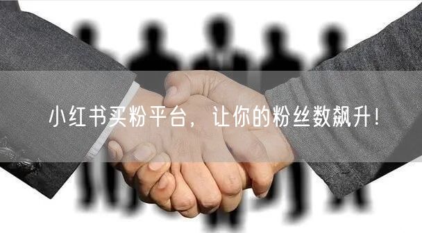 小红书买粉平台，让你的粉丝数飙升！