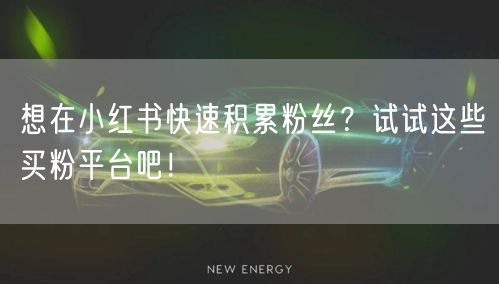 想在小红书快速积累粉丝？试试这些买粉平台吧！