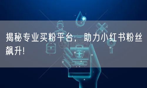 揭秘专业买粉平台，助力小红书粉丝飙升!