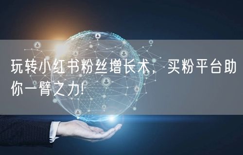 玩转小红书粉丝增长术，买粉平台助你一臂之力!