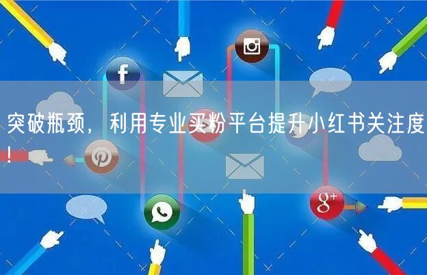 突破瓶颈，利用专业买粉平台提升小红书关注