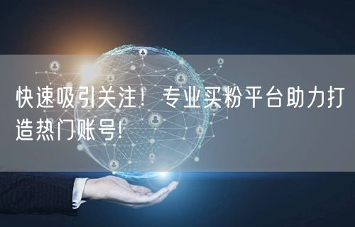 快速吸引关注！专业买粉平台助力打造热门账号!