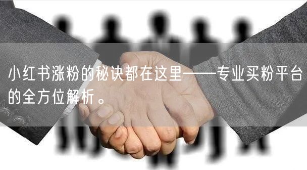 小红书涨粉的秘诀都在这里——专业买粉平台