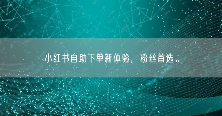 小红书自助下单新体验，粉丝首选。
